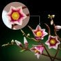 LEGO Botanicals Magnolia Branches Set LEGO-6588551 — image 6