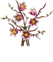 LEGO Botanicals Magnolia Branches Set LEGO-6588551 — image 2