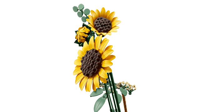 LEGO 11502 Sunflower Bouquet 6588541 - Colorland Toys