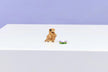 LEGO Creator Cute Hamster With A Flower 31376