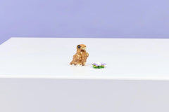 LEGO Creator Cute Hamster With A Flower 31376 - Colorland Toys