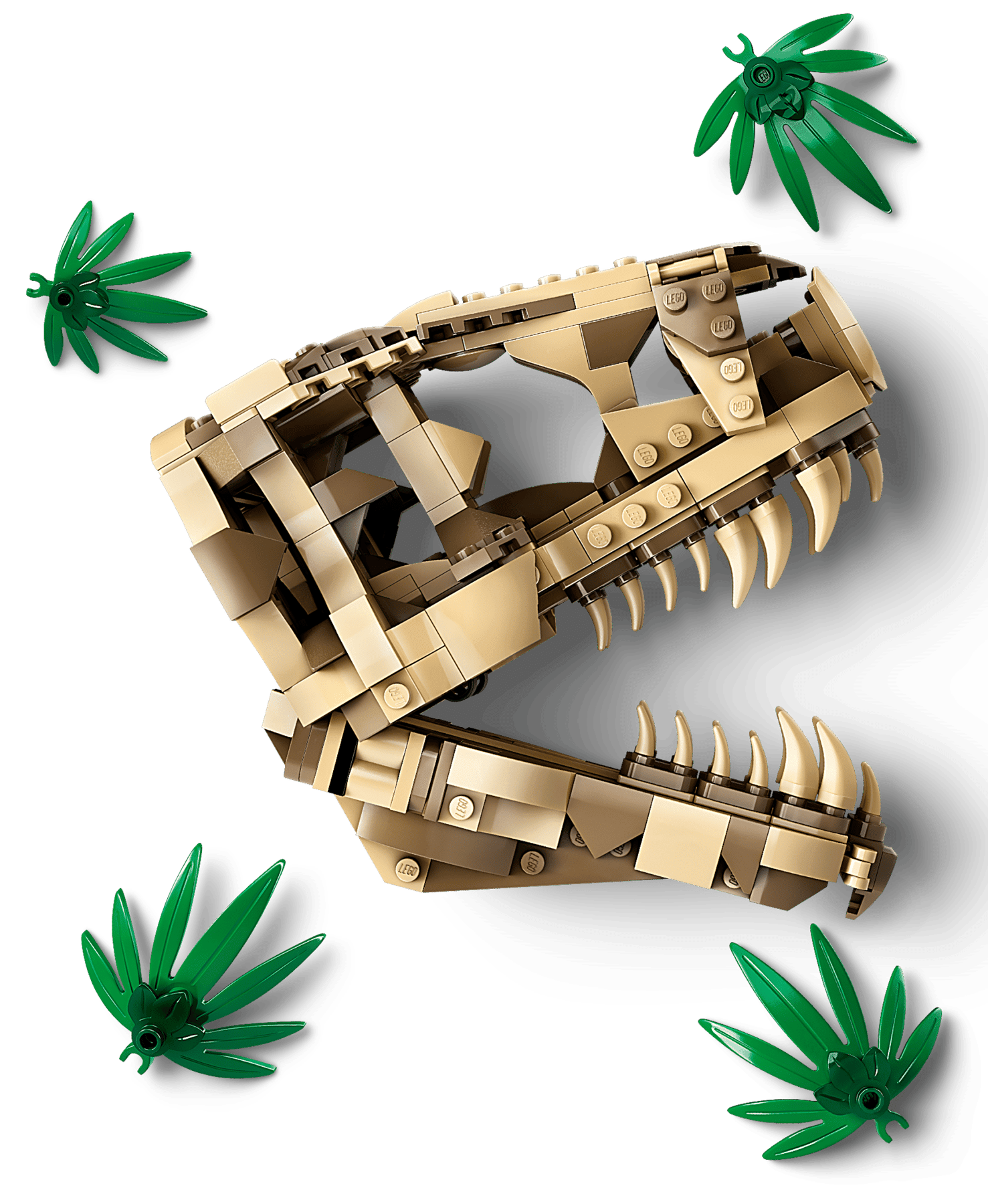 LEGO Dinosaur Fossils T.Rex Skull - Colorland Toys