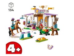 LEGO Friends Horse Training - Colorland Toys