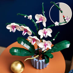 LEGO Icons Orchid 6391546/10311 - Colorland Toys