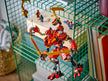 LEGO Ninjago Dragons Rising Kai's Ninja Climber Mech
