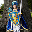 Liontouch Medieval Noble Knight Foam Toy Shield