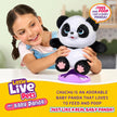 Little Live Pets My Baby S2 Chuchu Single Pack 26676