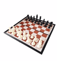 Magnetic Chess Board Brain Game - Colorland Toys