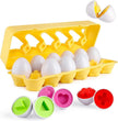 Matching Eggs 12Pieces DF12