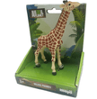 Mojo Animal Planet Giraffe Calf 381034