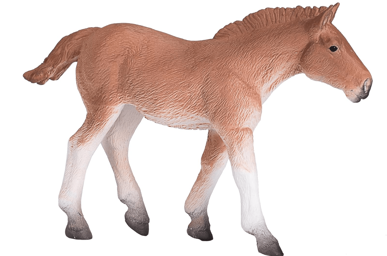 Mojo Animal Planet Suffolk Punch Foal 387196 - Colorland Toys