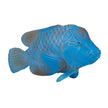 MOJO Blue Groper Fish Figure 387356