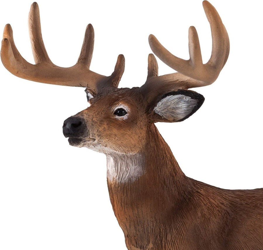 MOJO White Tailed Deer 387038 — image 2