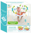 Musical Friends Jumperoo ZX18913