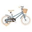 Muunka Bicycle With Basket 20 Inch Blue TN24M73