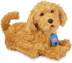 My Fuzzy Friend Moji the Lovable Labradoodle 18207 - Colorland Toys