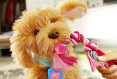 My Fuzzy Friend Moji the Lovable Labradoodle 18207 - Colorland Toys