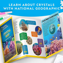 National Geographic Crystal Reef Coral Growing Lab RTCRYSHABINT - Colorland Toys
