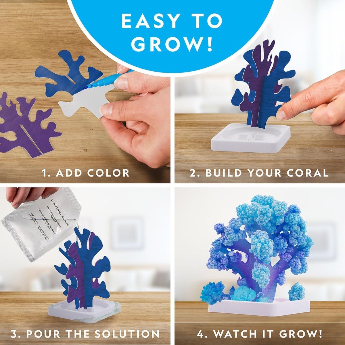 National Geographic Crystal Reef Coral Growing Lab RTCRYSHABINT - Colorland Toys