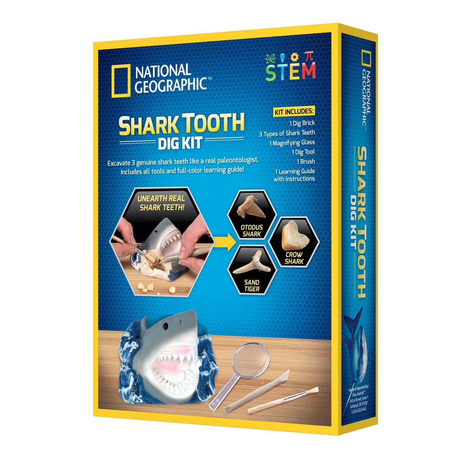 National Geographic Hammerhead Shark Dig Kit RTHAMSHDIG - Colorland Toys