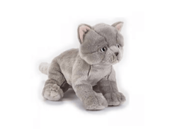 National Geographic Premium British Cat 770674 - Colorland Toys