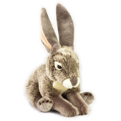 National Geographic Premium Jack Rabbit 770815 - Colorland Toys