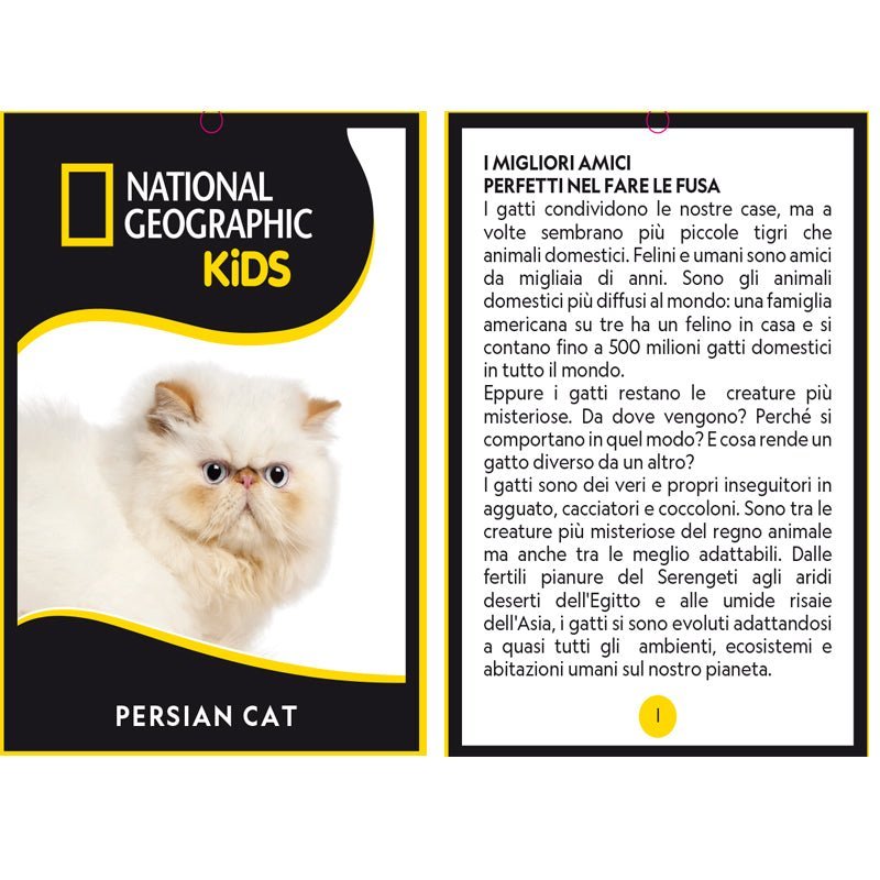 National Geographic Premium Persian Cat 770670 - Colorland Toys