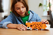 LEGO Minecraft The Fox 21588