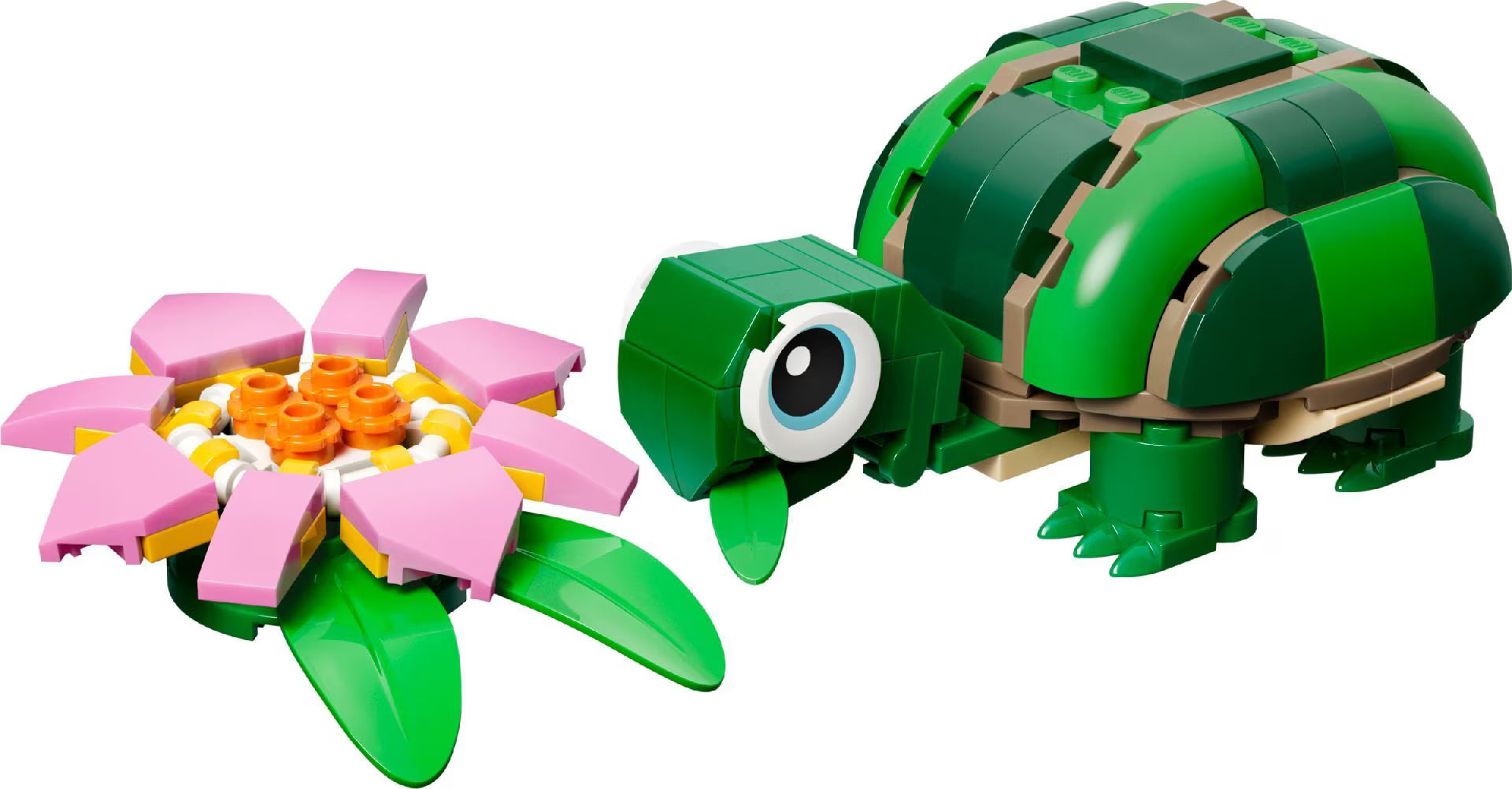 LEGO Creator Turtle With A Water Lily Flower 31377 - Colorland Toys