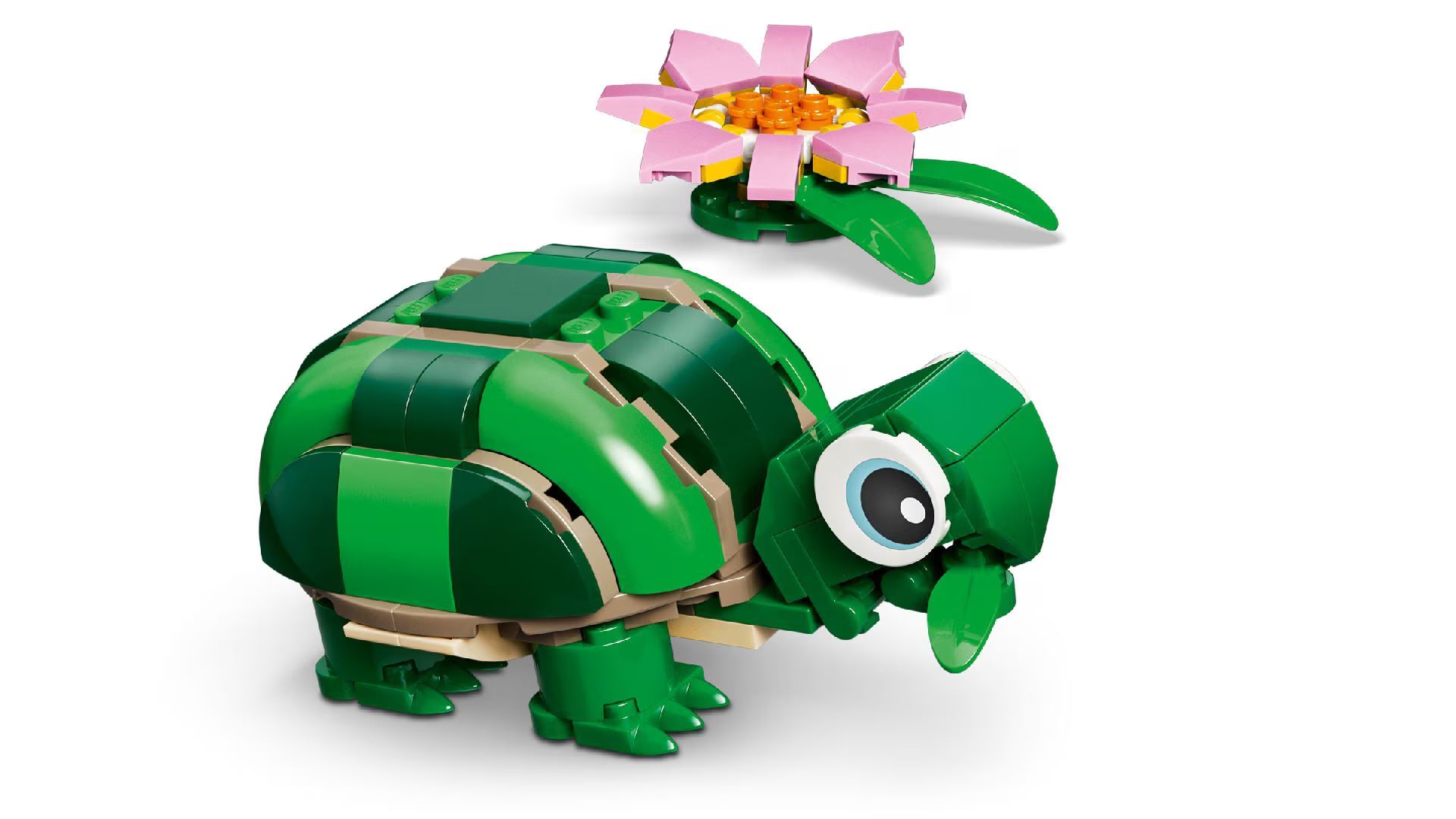 LEGO Creator Turtle With A Water Lily Flower 31377 - Colorland Toys