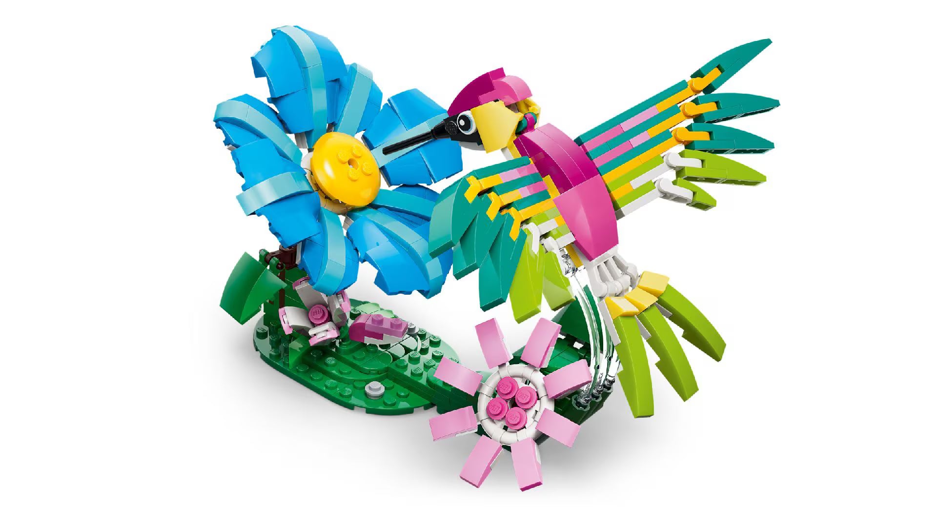 LEGO Creator Wild Animals: Colorful Hummingbird 31384 - Colorland Toys