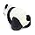 Panda Black & White 34 8-9