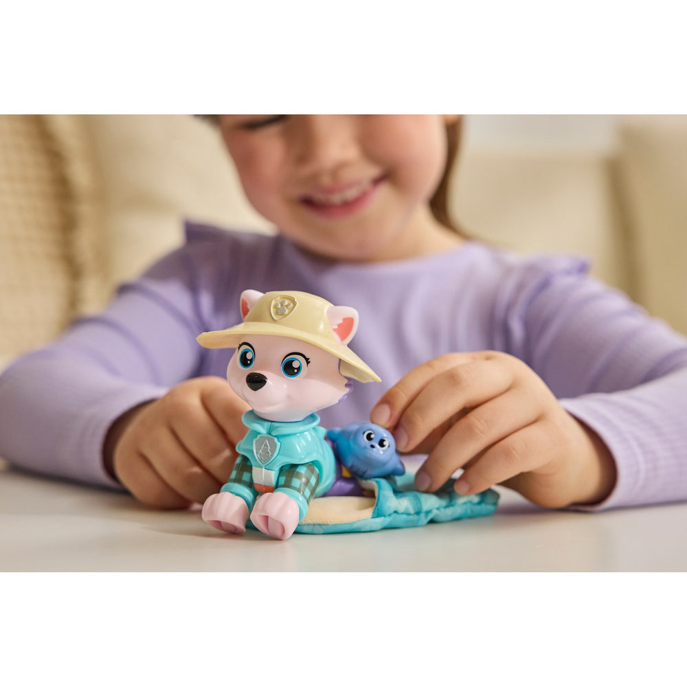 Paw Patrol Skye's Camping Fig Asst. 6074835 - Colorland Toys