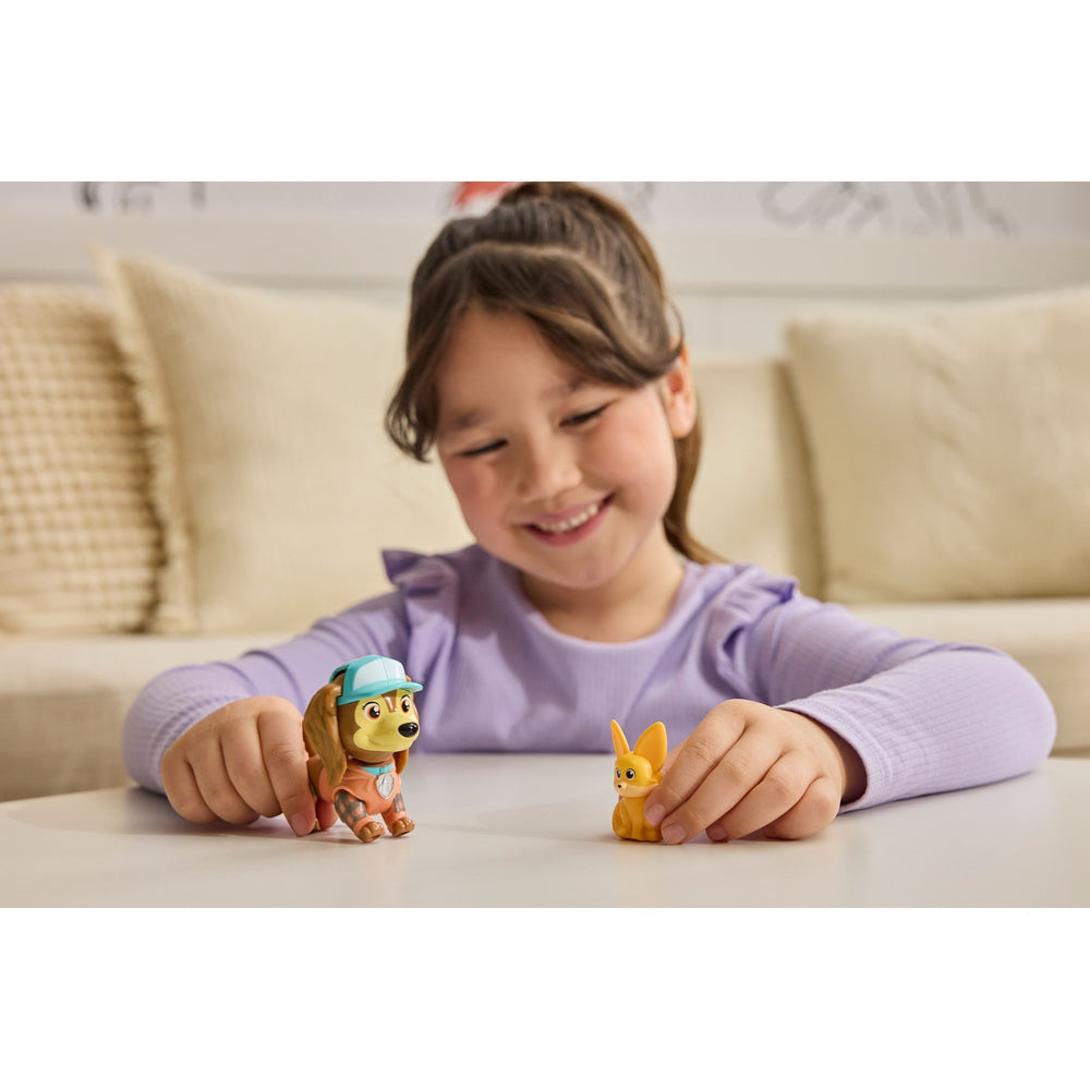 Paw Patrol Skye's Camping Fig Asst. 6074835 - Colorland Toys