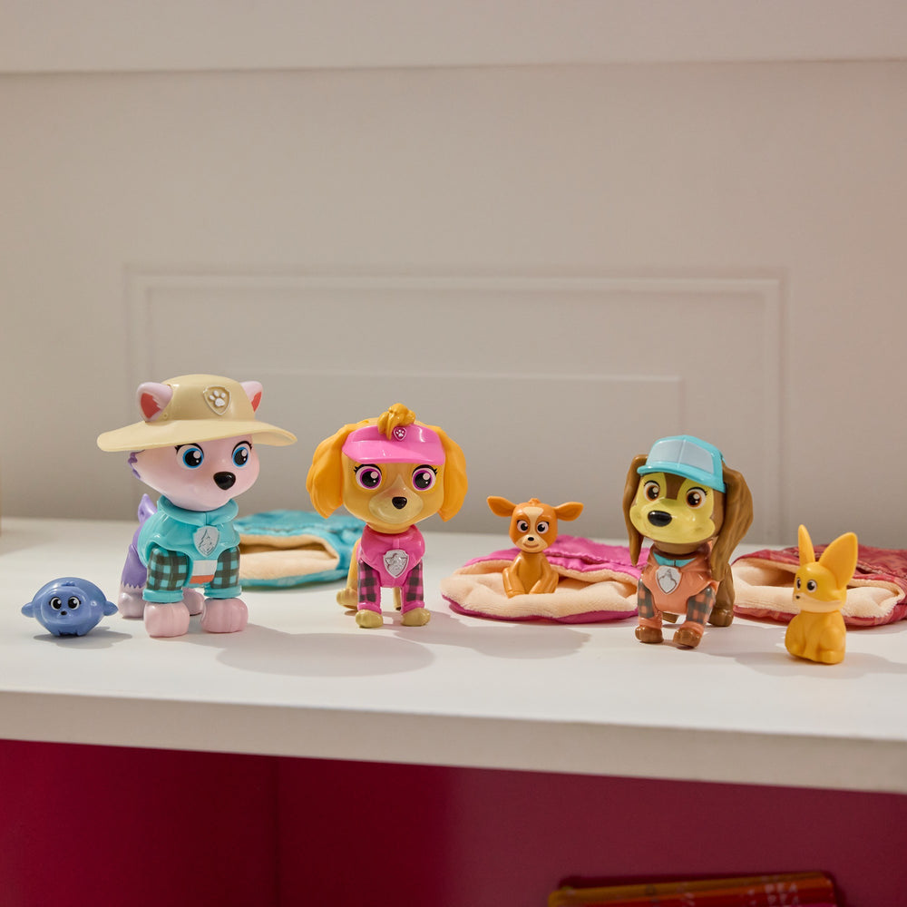 Paw Patrol Skye's Camping Fig Asst. 6074835 - Colorland Toys