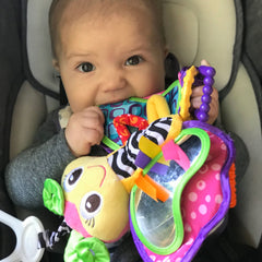 Playgro Activity Friend Blossom Butterfly - Polybag PG0189033 - Colorland Toys