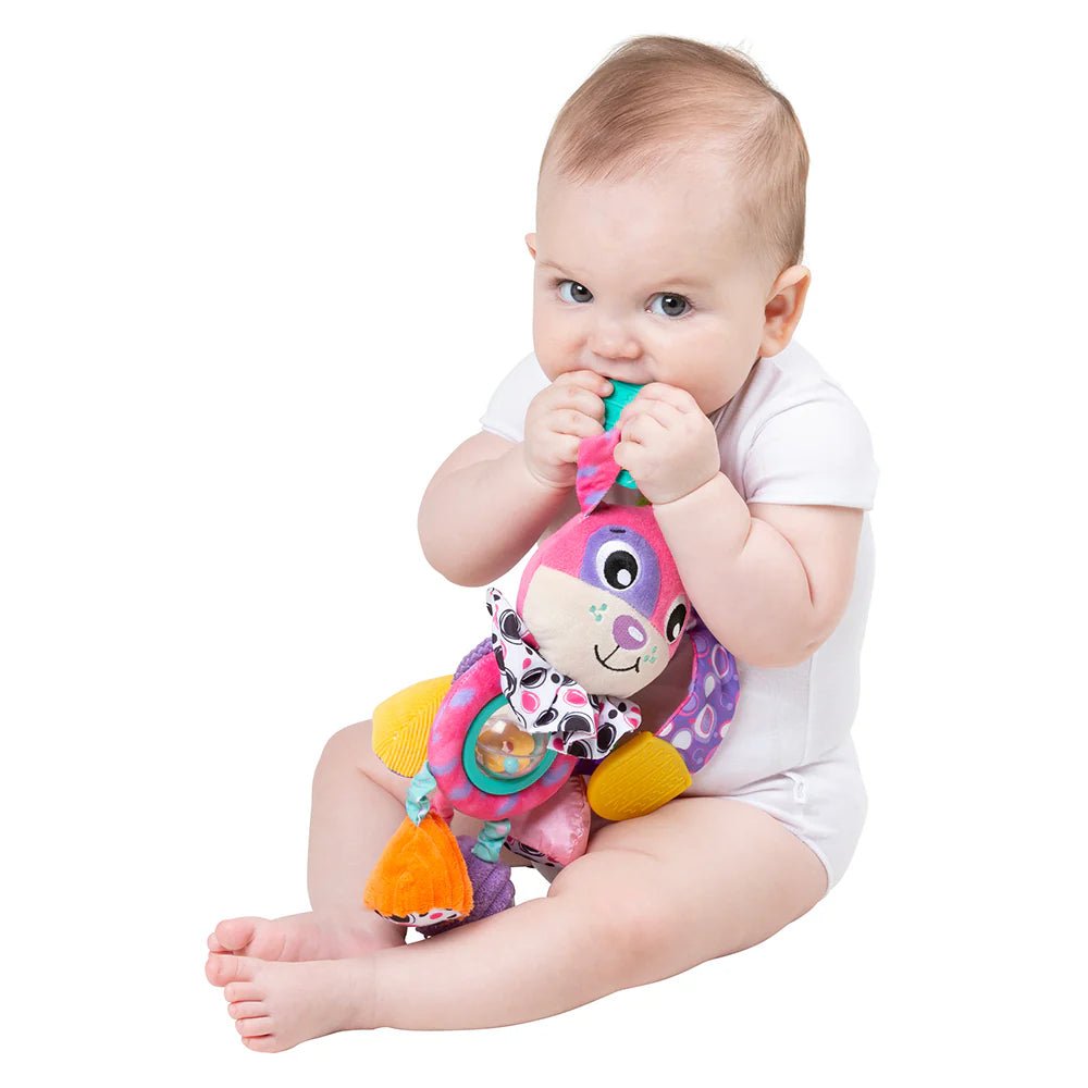 Playgro Activity Friend Dixie Dog - Polybag PG0189031 - Colorland Toys