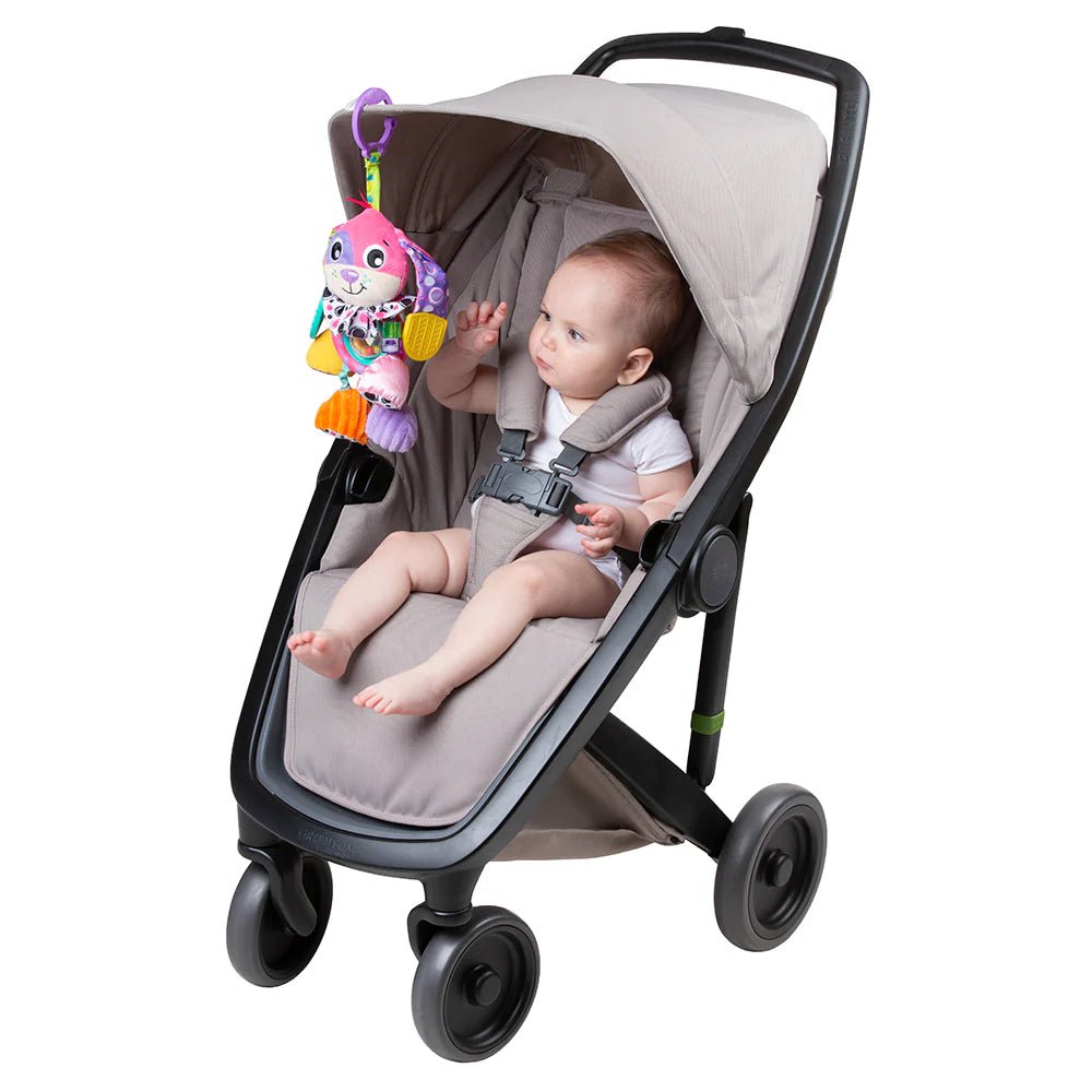 Playgro Activity Friend Dixie Dog - Polybag PG0189031 - Colorland Toys