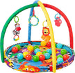 Playgro Ball Nest Activity Gym PG0184007