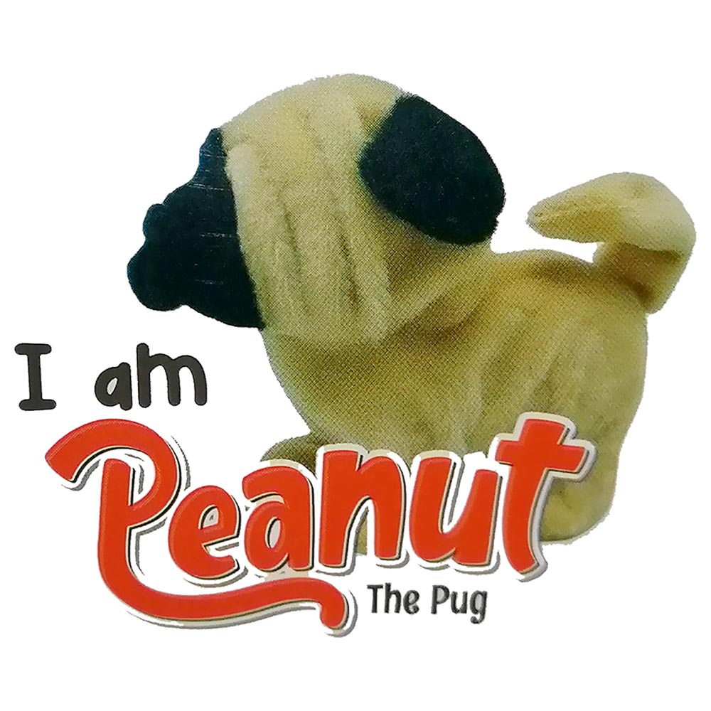 Plugs at Play Peanut the Pug ST - PAP28 - Colorland Toys