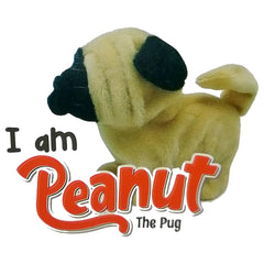 Plugs at Play Peanut the Pug ST - PAP28 - Colorland Toys