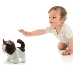 Pugs at Play Bella Walking Cat ST - PAP07 - Colorland Toys