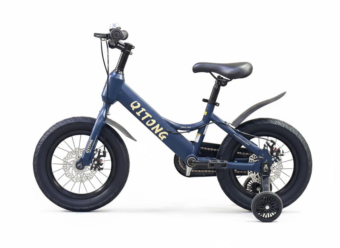Qitong Bicycle 16 Inch Blue TN23A06 - Colorland Toys