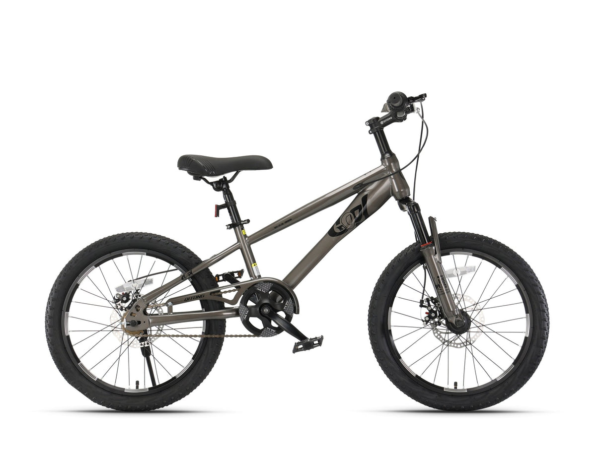 Qitong Bicycle 18 Inch Grey TN24Q22 — image 1