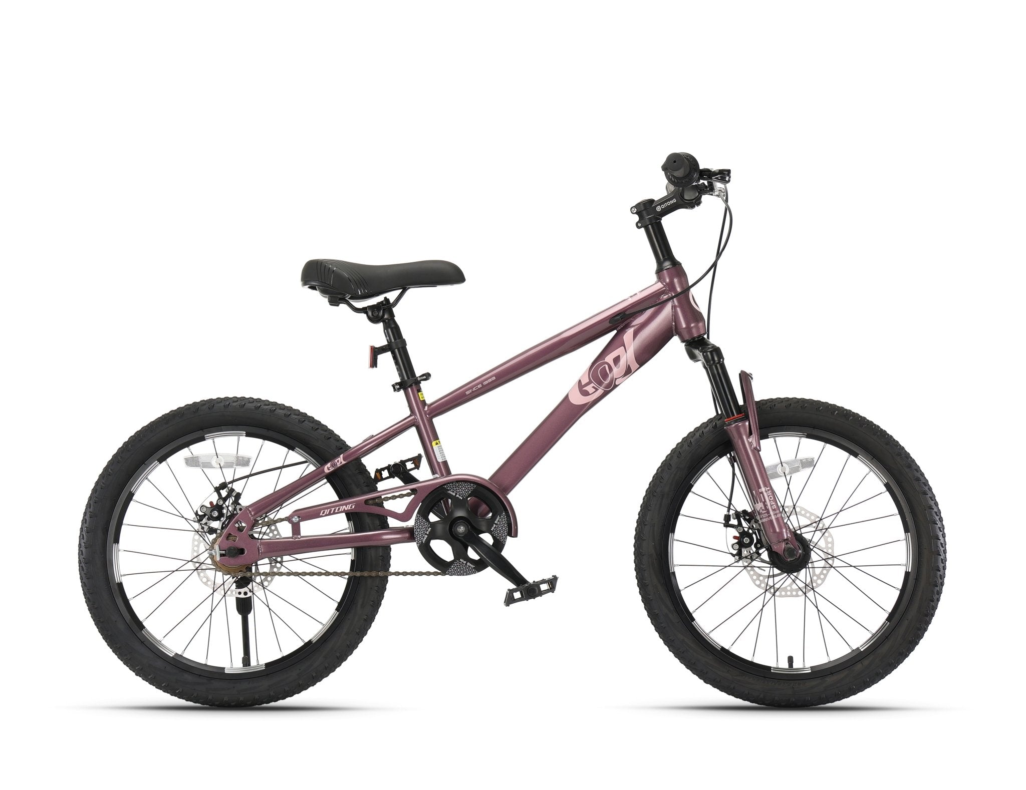 Qitong Bicycle 18 Inch Purple TN24Q22 - Colorland Toys