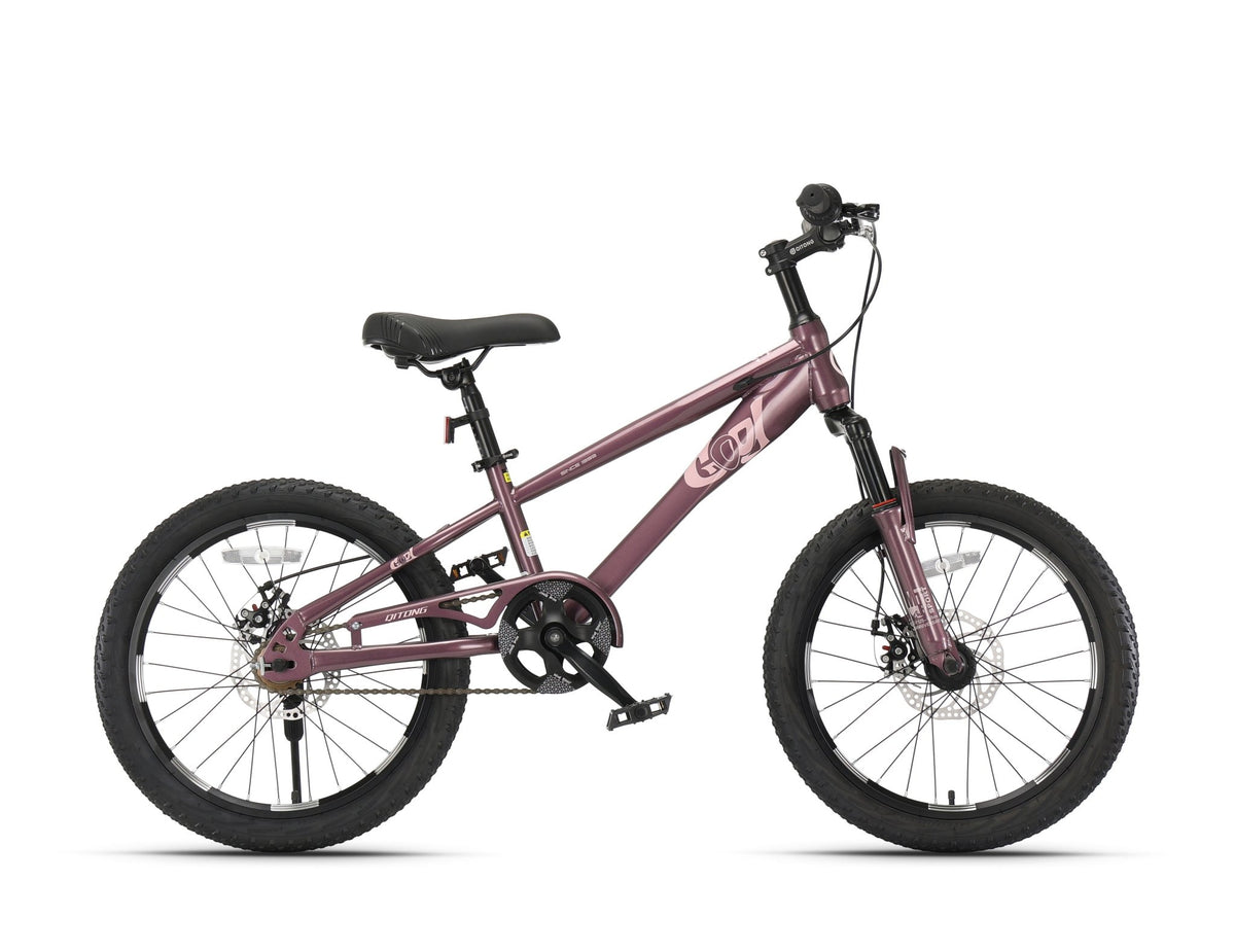 Qitong Bicycle 18 Inch Purple TN24Q22 — image 1