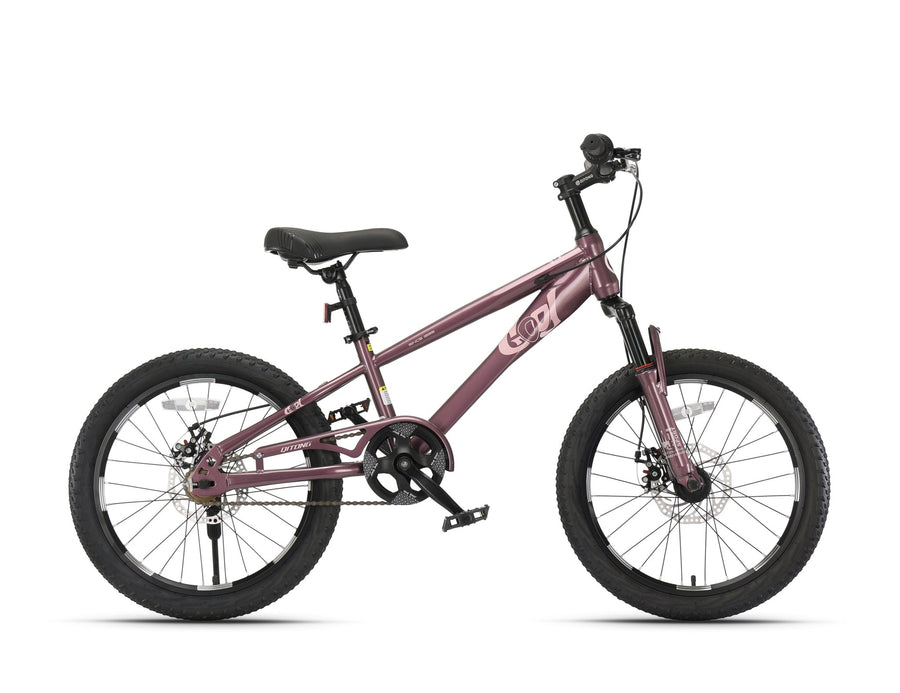 Qitong Bicycle 18 Inch Purple TN24Q22 — image 1