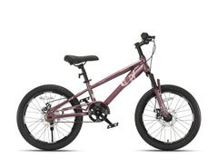 Qitong Bicycle 18 Inch Purple TN24Q22 - Colorland Toys