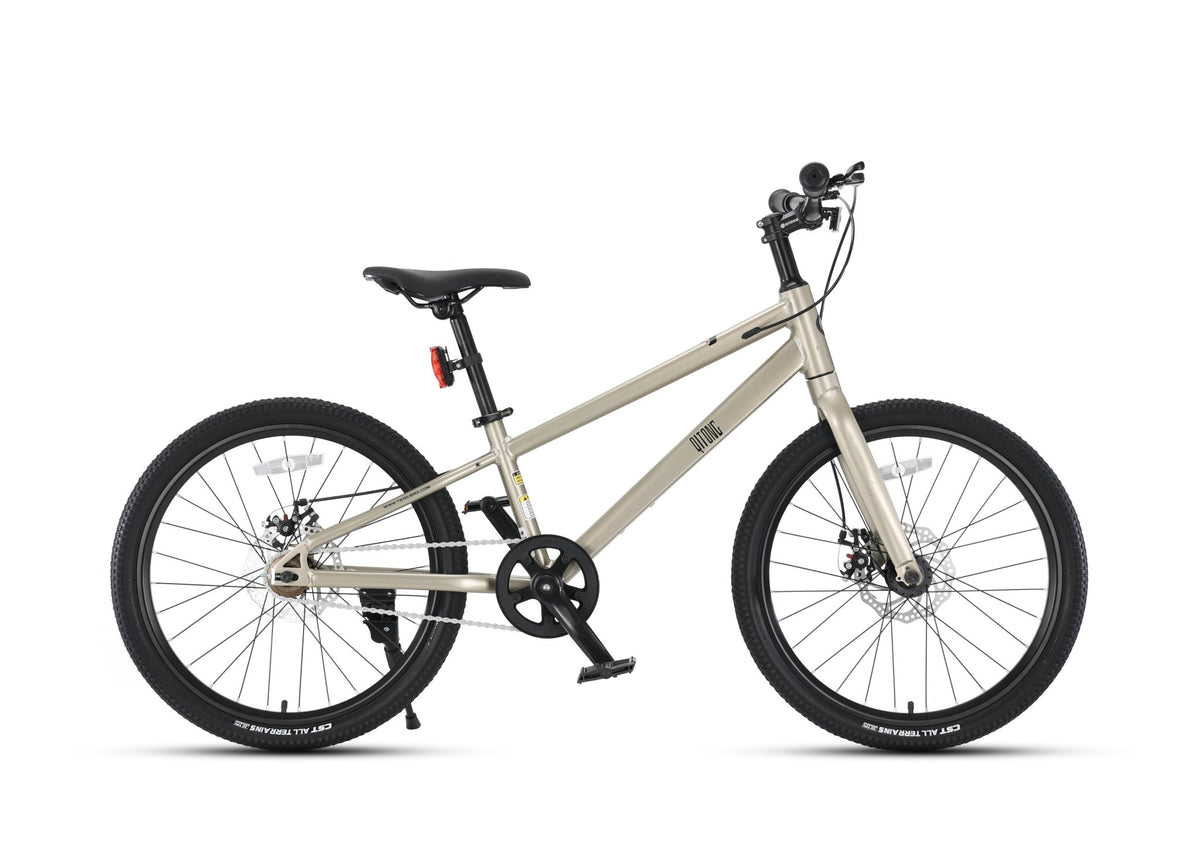 Qitong Bicycle 20 Inch Beige TN25Q81 — image 1