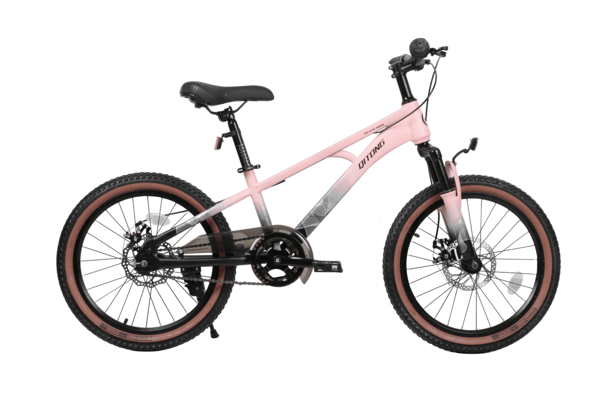 Qitong Bicycle 20 Inch Pink TN23A04 20IN - Colorland Toys